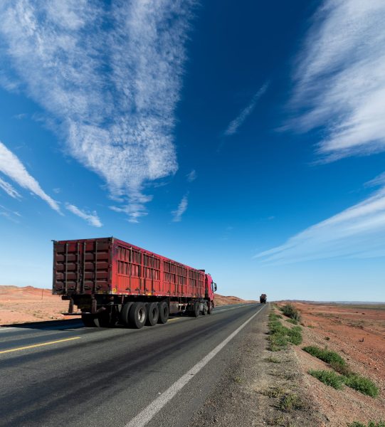 road-in-the-wild-2025-03-17-12-32-25-utc road-in-the-wild-2025-03-17-12-32-25-utc